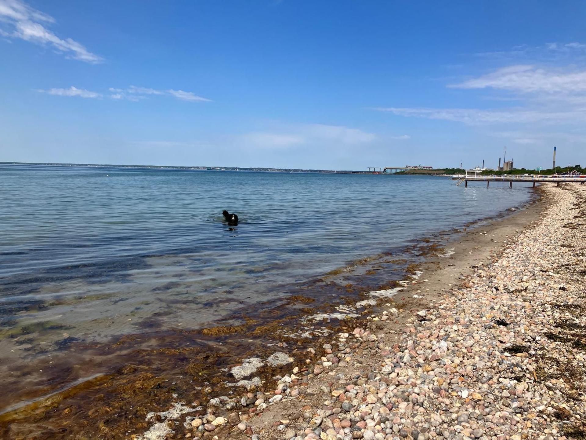 Rum mitt i centrala Helsingborg