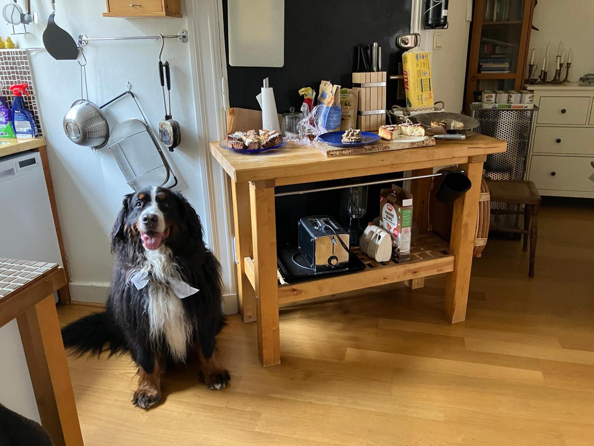 Rum mitt i centrala Helsingborg