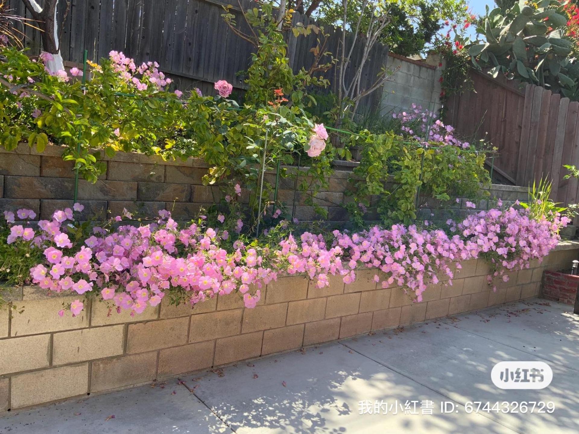 In a quiet neighborhood near the Main Street-Room C