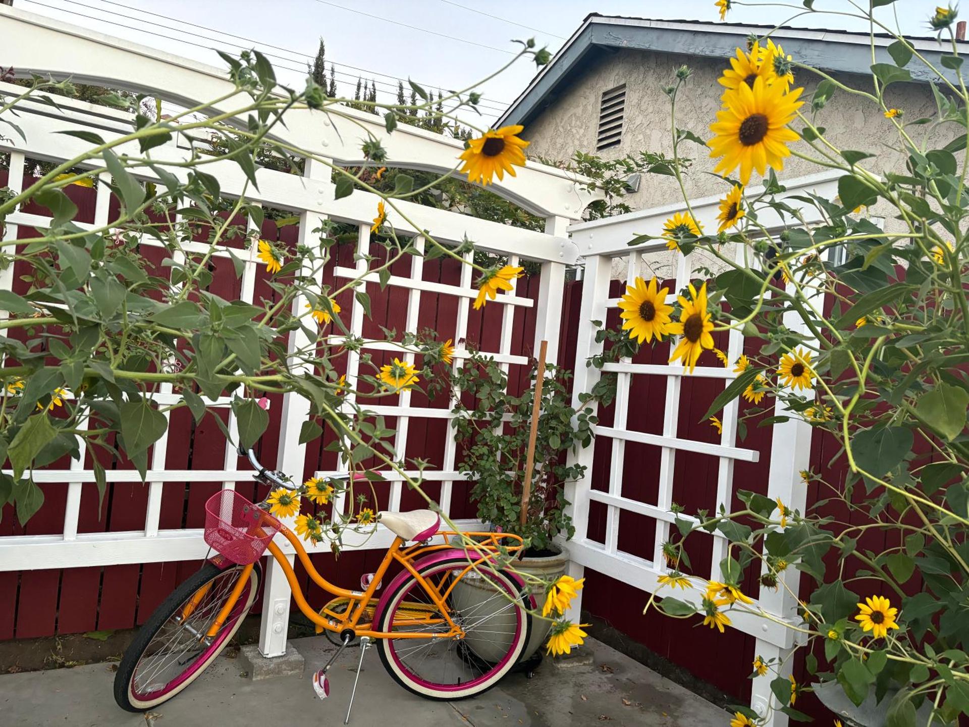 In a quiet neighborhood near the Main Street-Room C