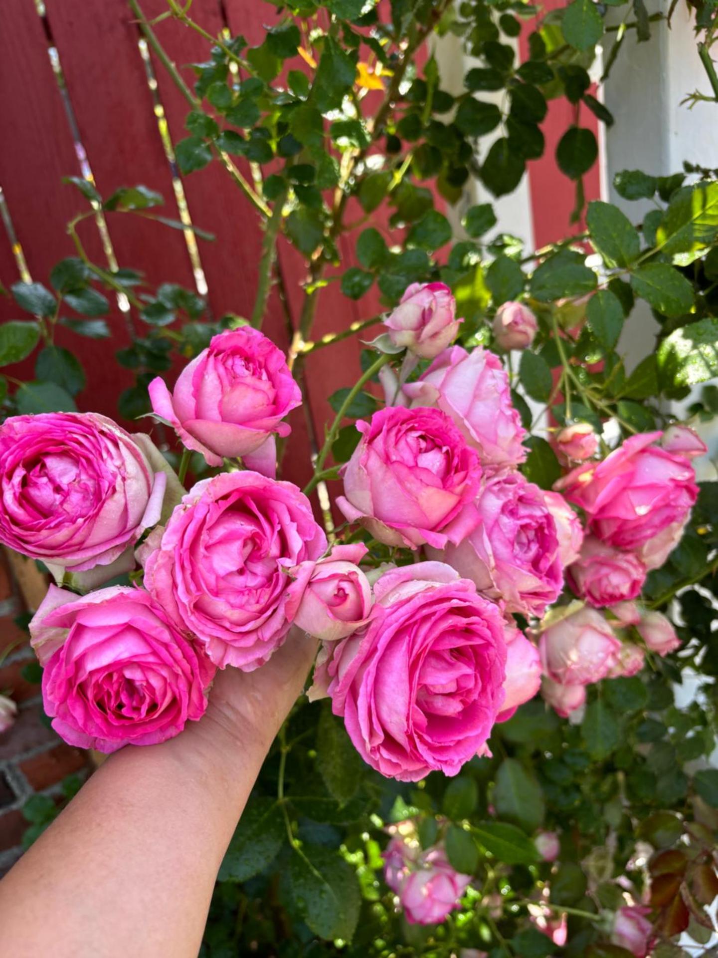 In a quiet neighborhood near the Main Street-Room C