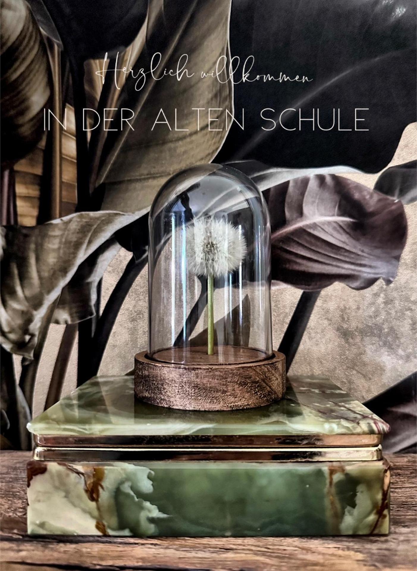 ALTE SCHULE WITTENBERG, 3 Ferienwohnungen für bis zu 12 Personen, an der Elbe, mit Garten