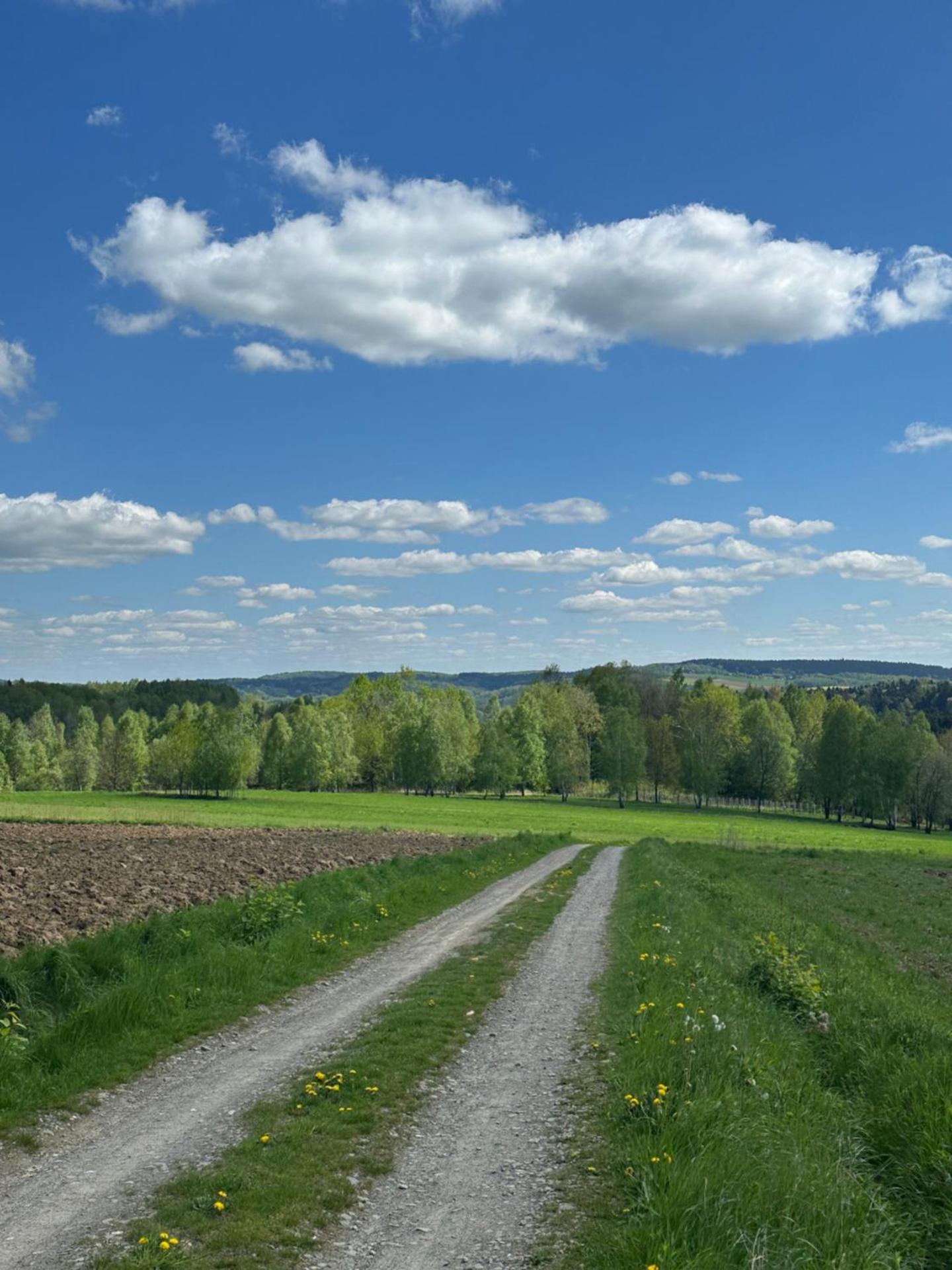 Domek Pod Strzegominą