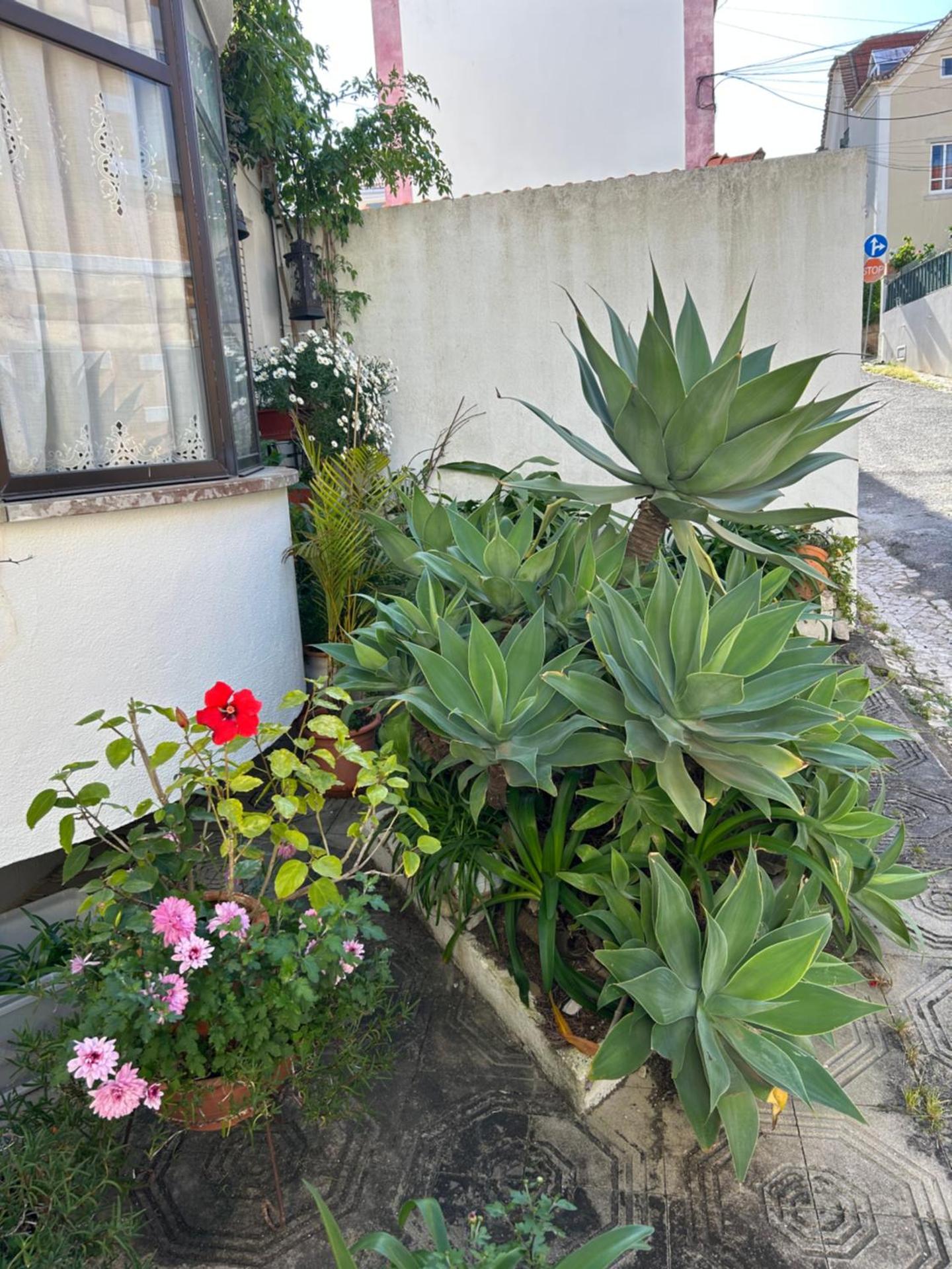 Bela vista apartamento Estoril Cascais