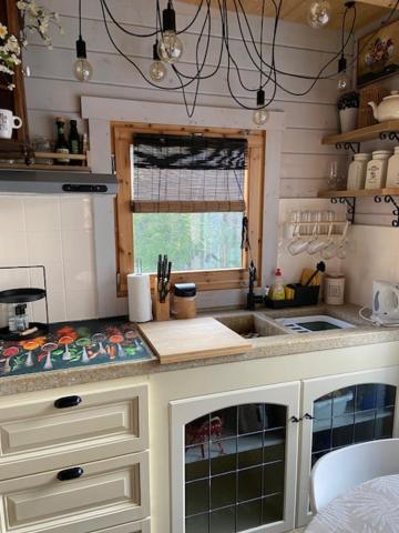 Tinyhouse Woody at the Water