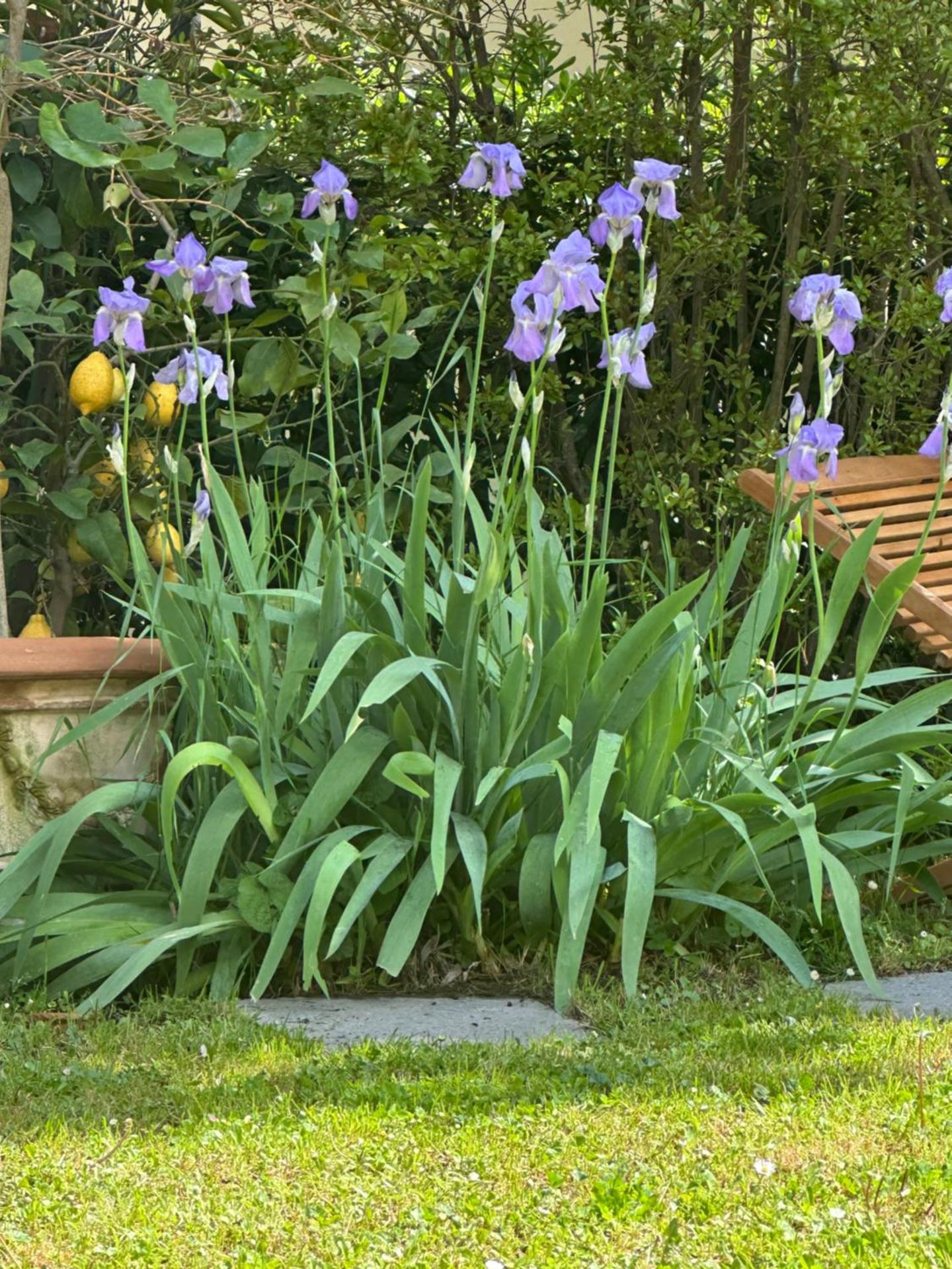 Elegante bilocale / Elegant Double Room