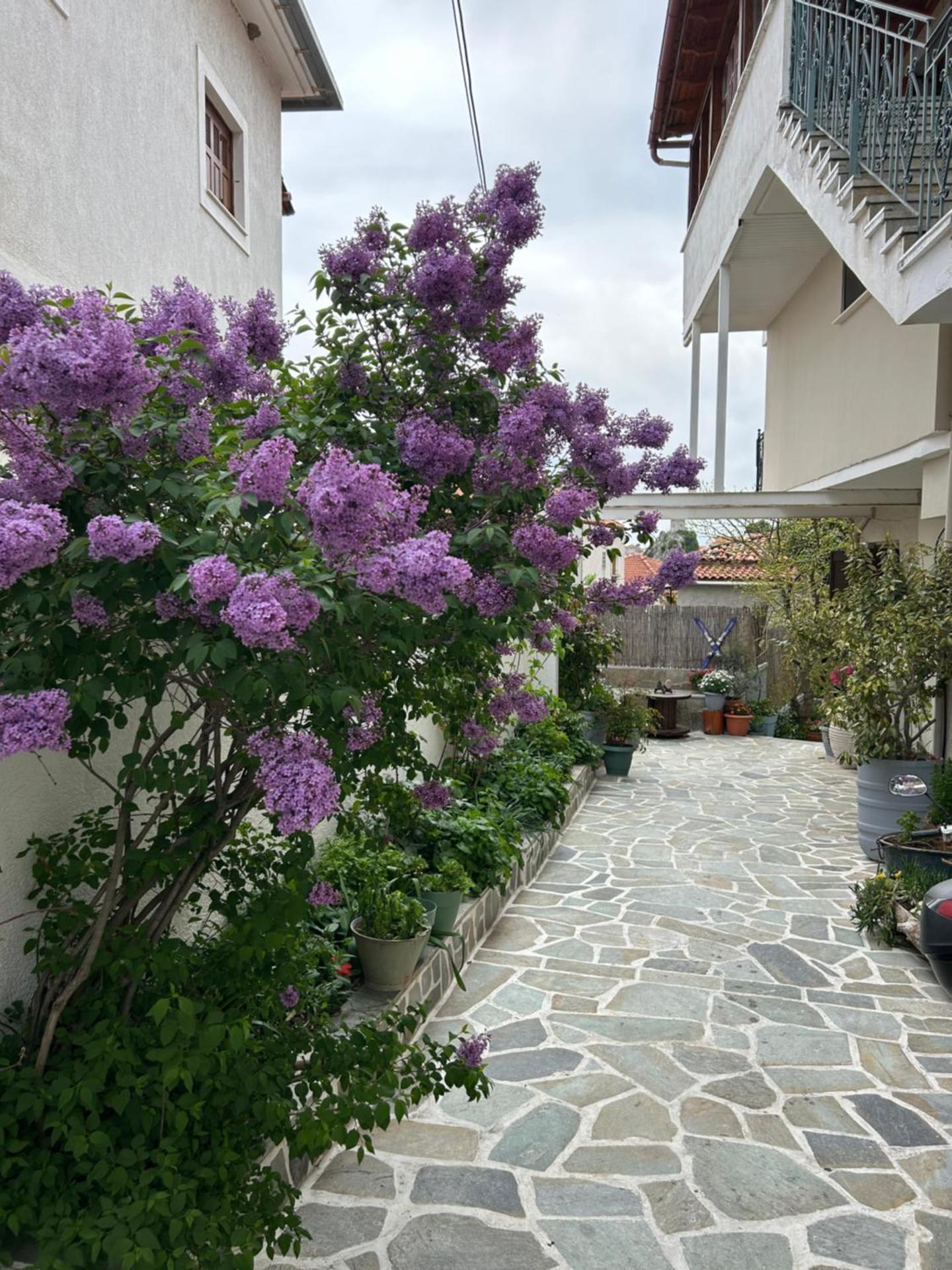 Inner courtyard view
