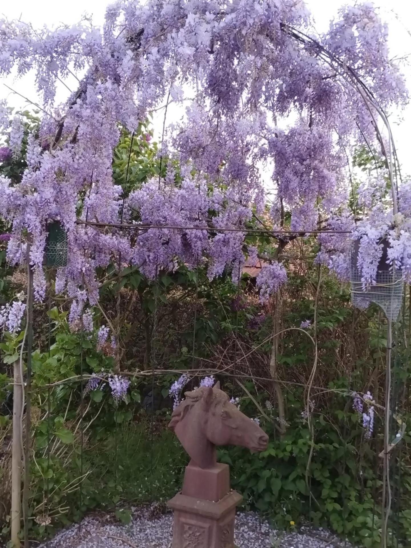 Laaker Villa nearby outlet Roermond