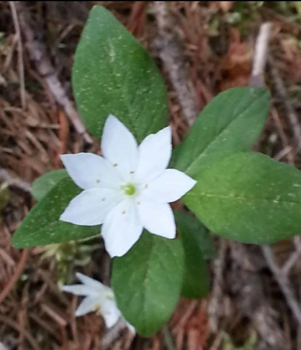 Ferienwohnung für 1 bis 2 Personen