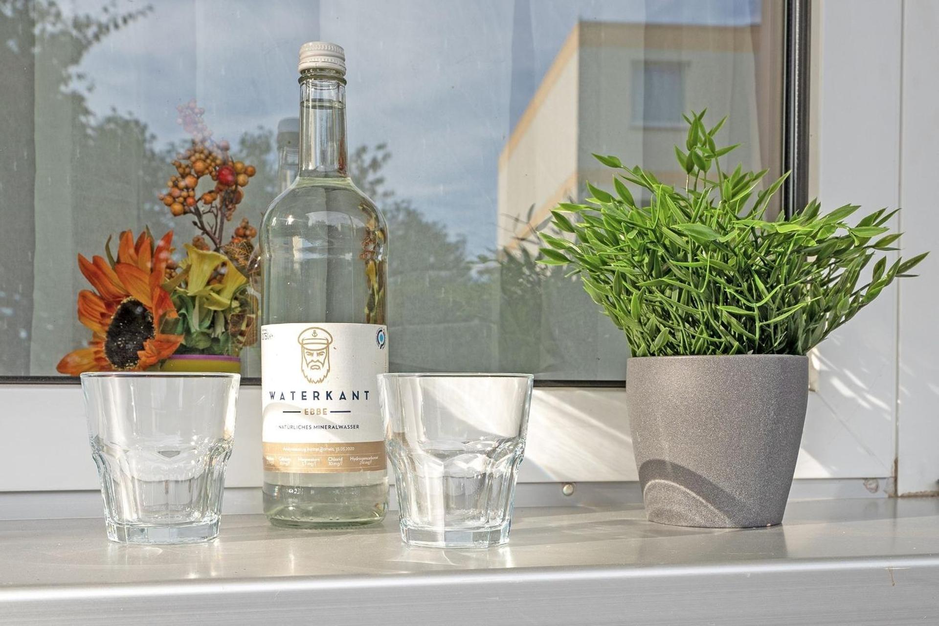 Seepferdchen Urlaubstied