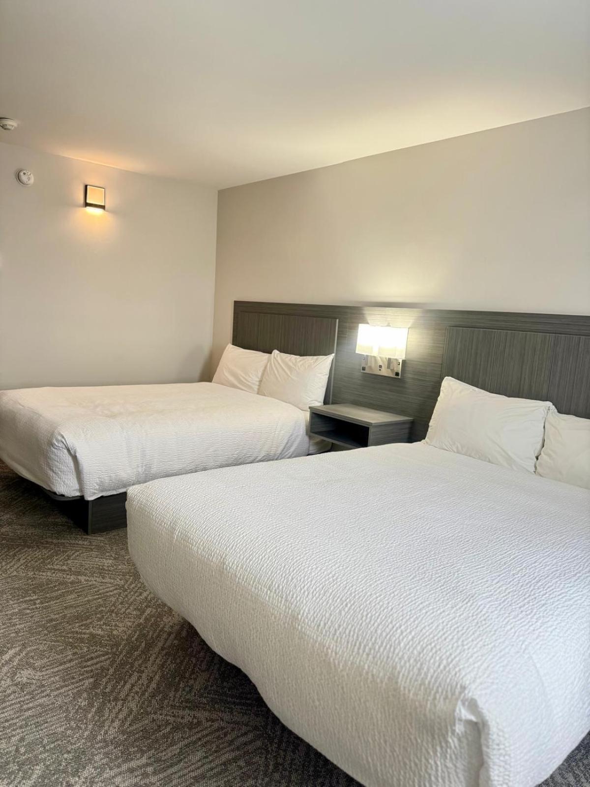 Queen Beds Room with Two Queen Beds - Non-Smoking