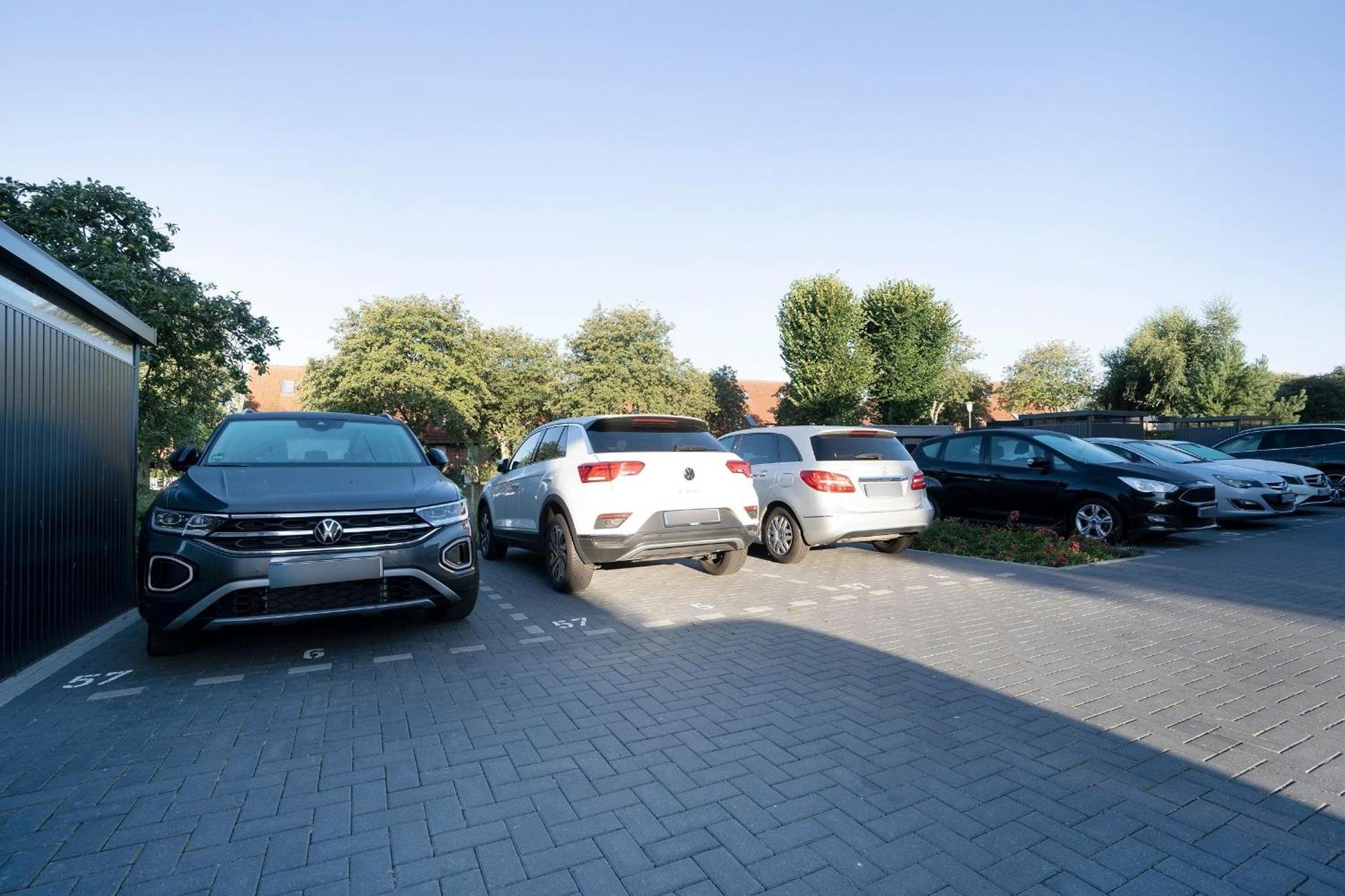 Düne und Meer Dünenzauber