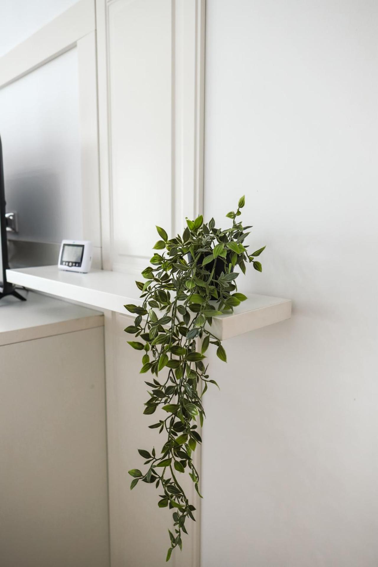 Q Apartament near Palas Mall