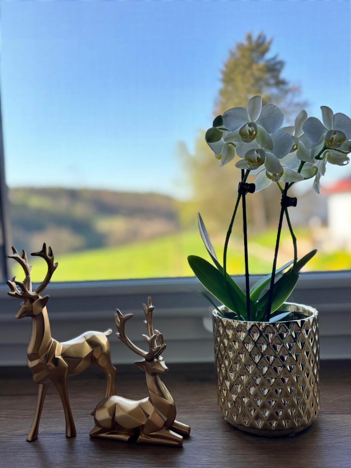 harmony holiday, Pension