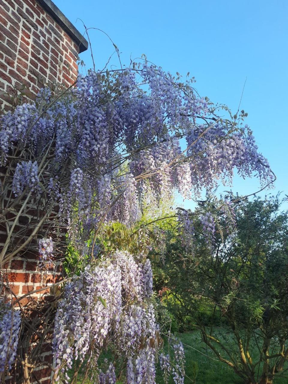Domaine des hydrangeas