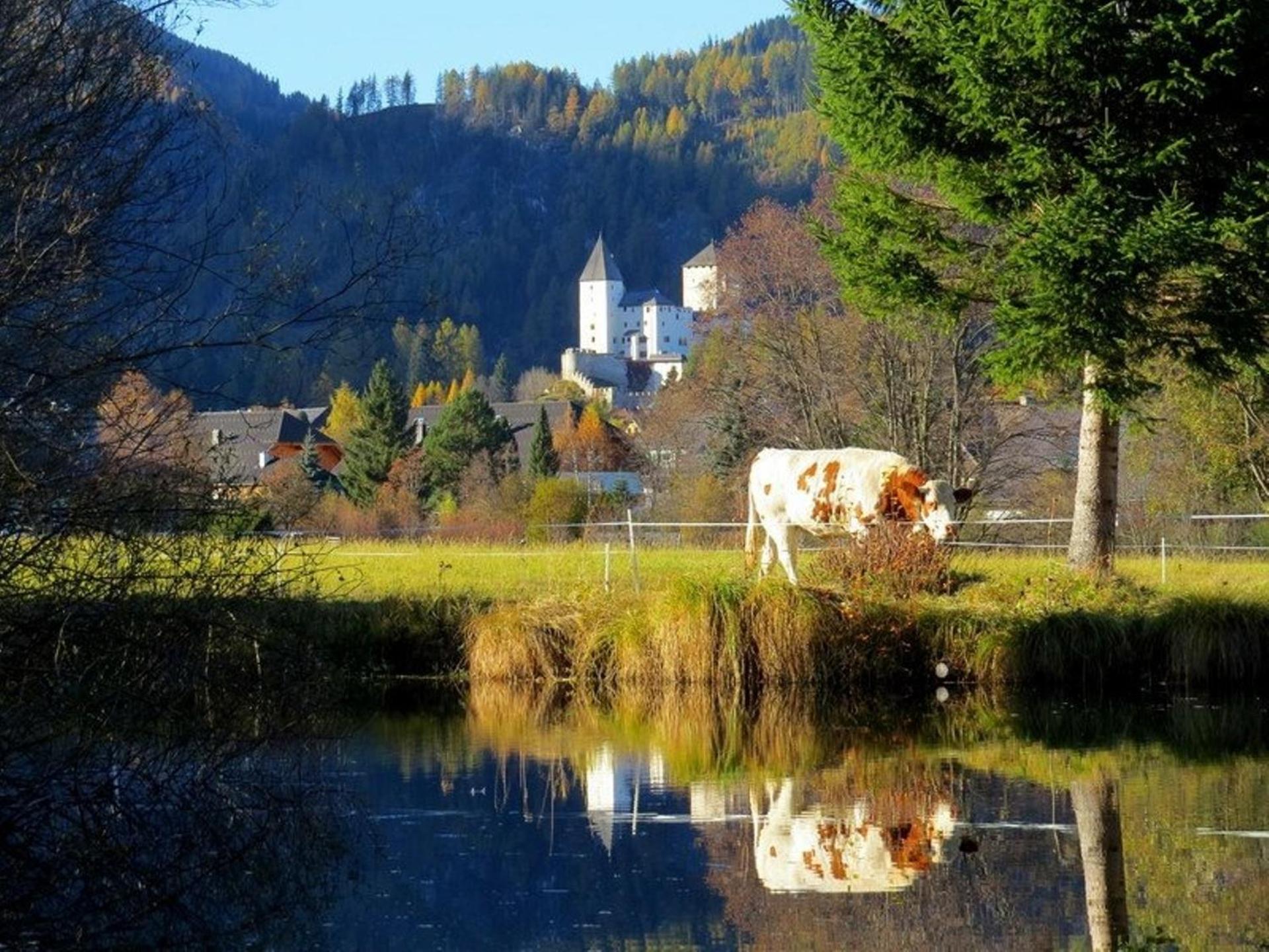 Ferienwohnung und Zimmer Kassar Bikertipp