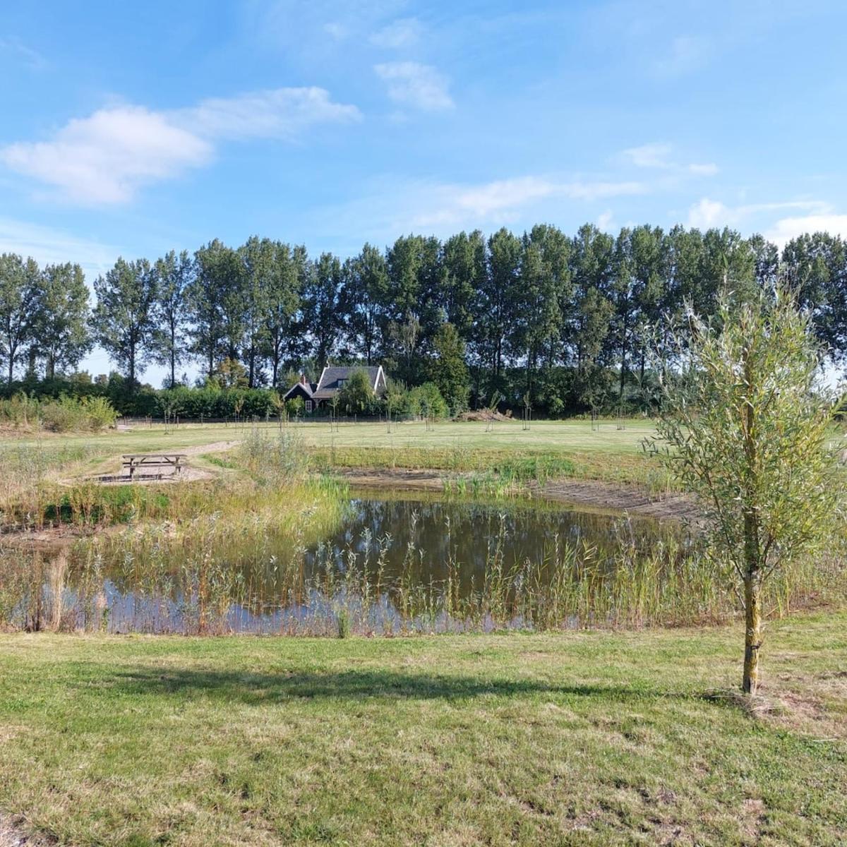 De Eend - Tiny house in de Zeeuwse Natuur