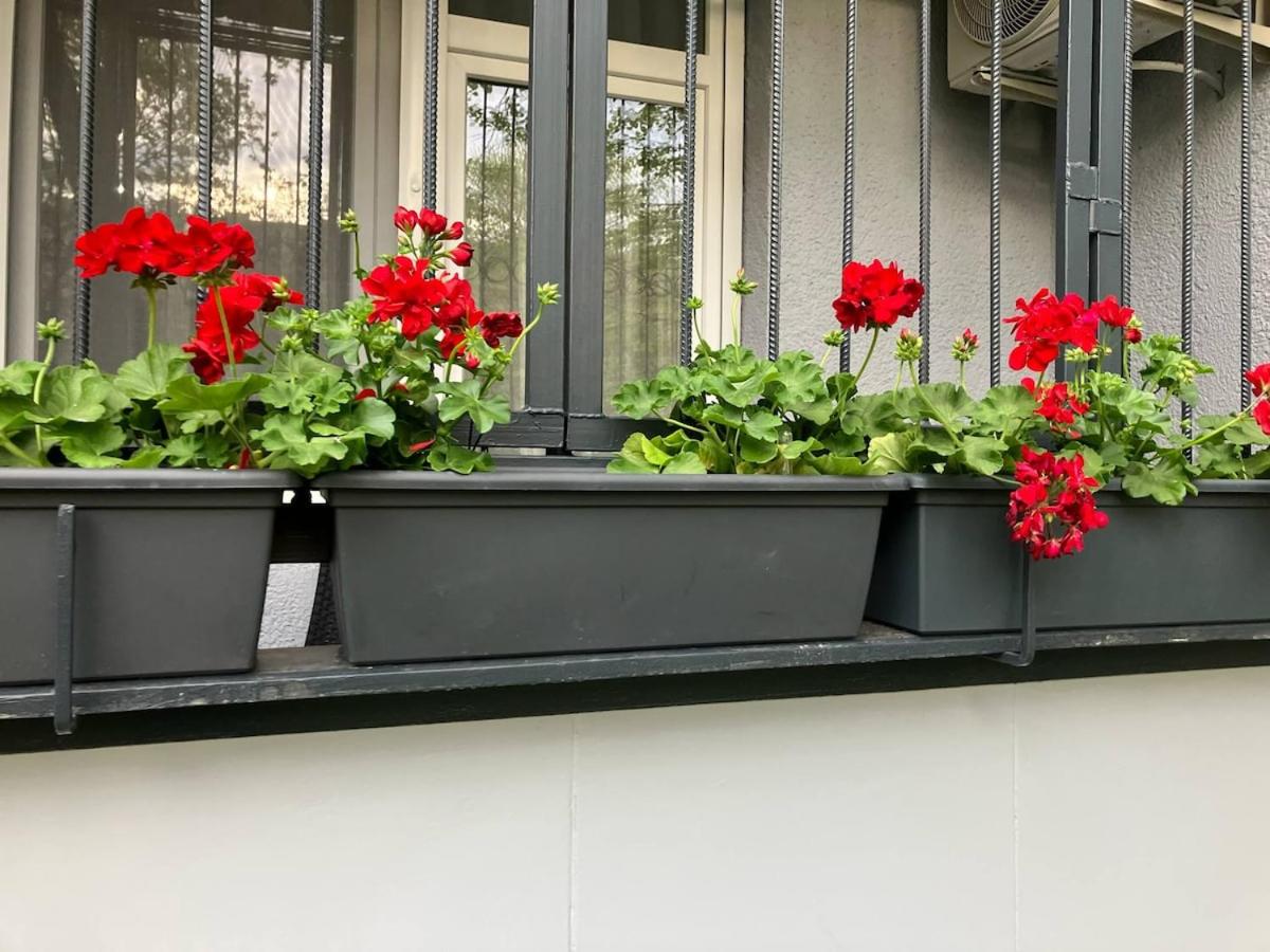 Központi Apartman 2