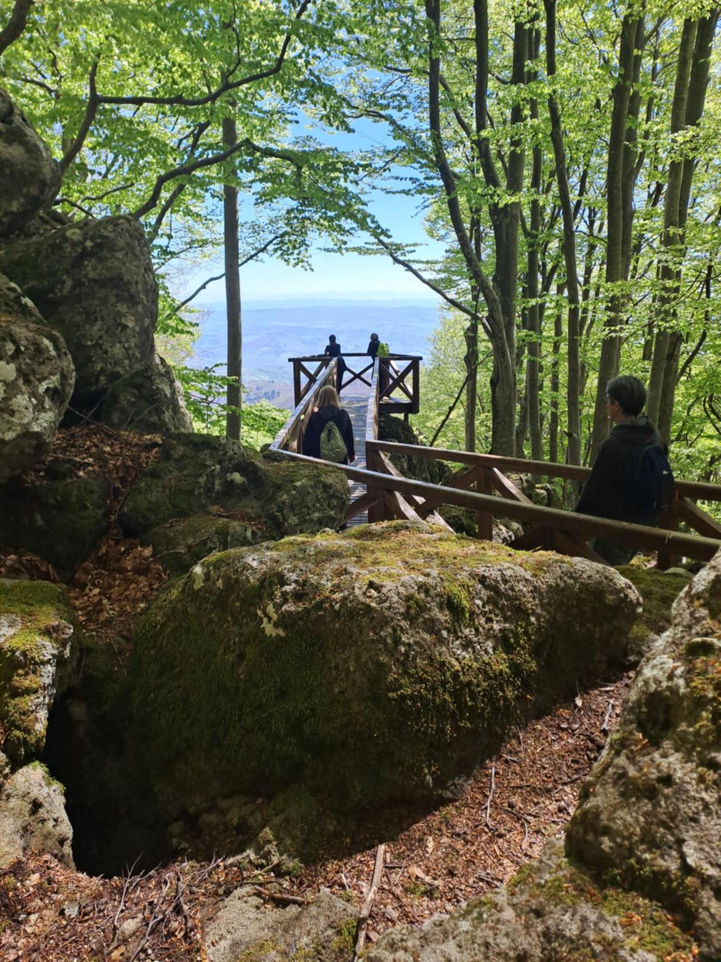 La piazzetta della frutta