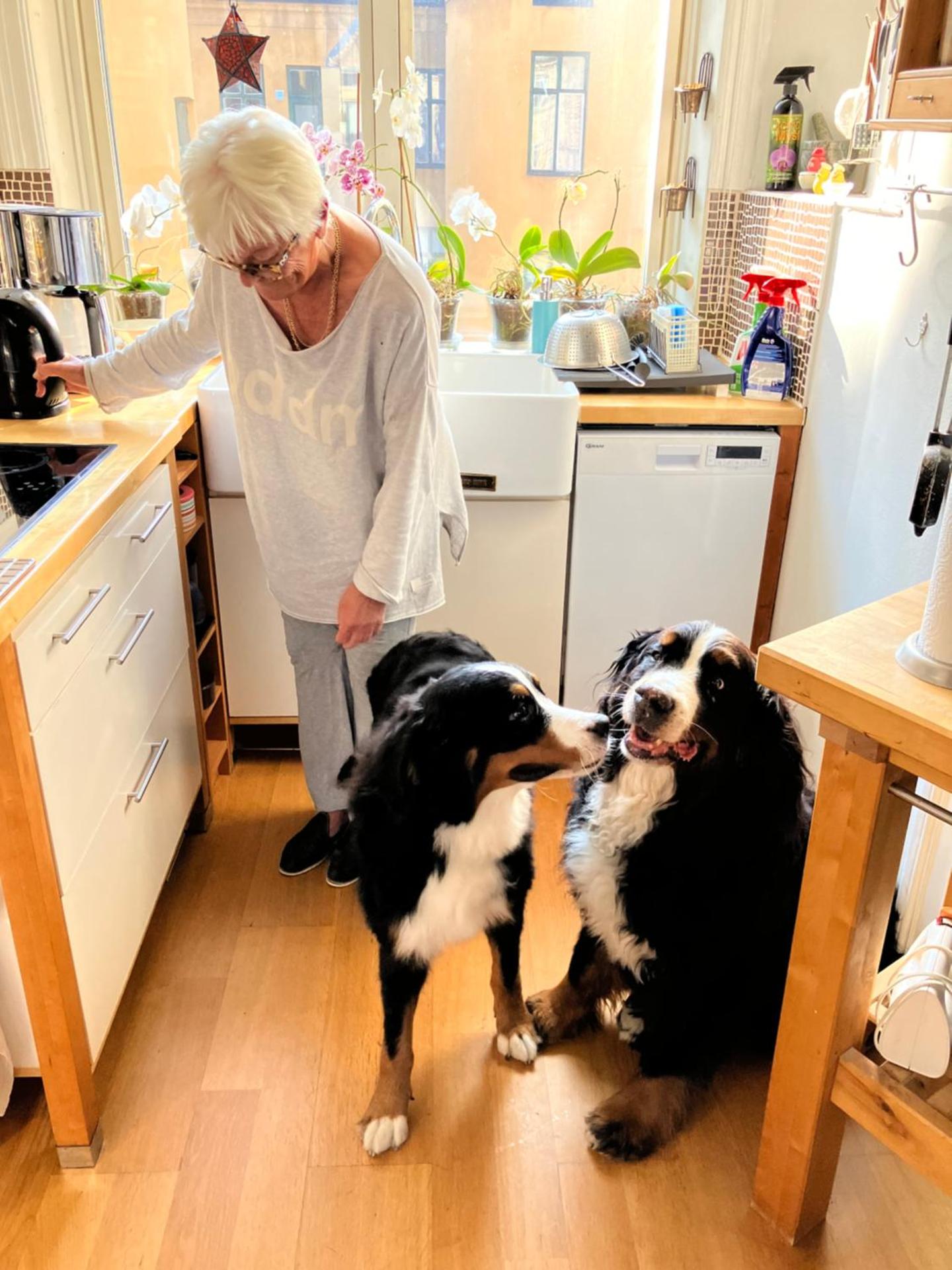 Rum mitt i centrala Helsingborg