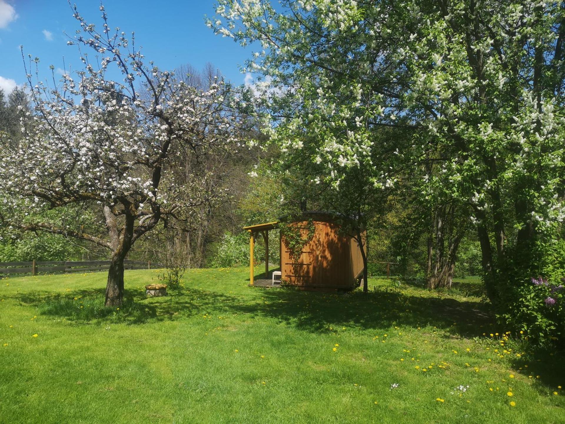 Maringotka k pronájmu