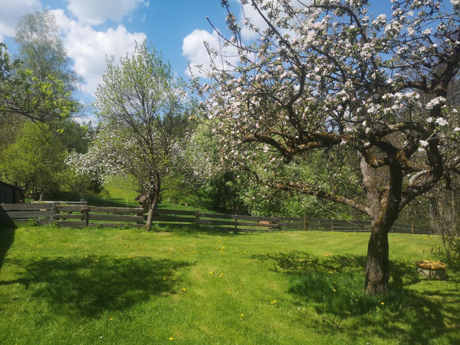 Maringotka k pronájmu