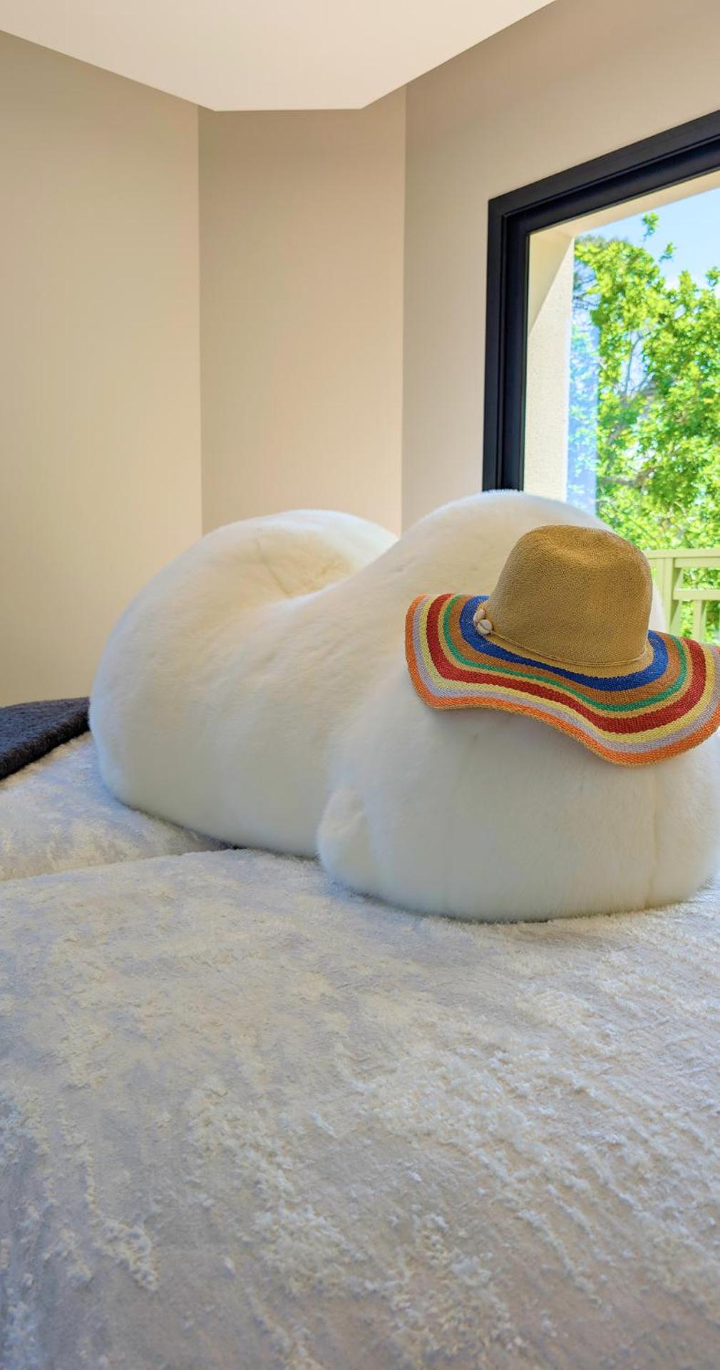 Les Villas de la Ville d'Hiver Palissy et Velleda