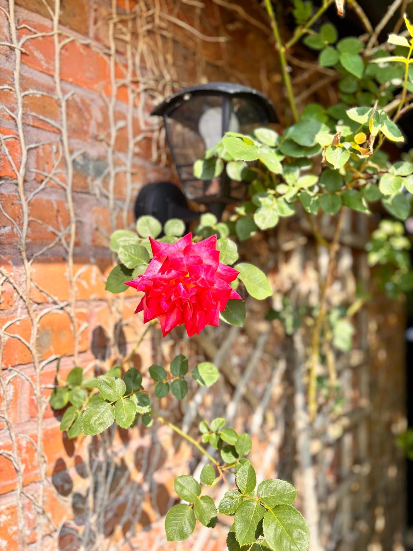 Cosy Countryside Cottage in an Area of Outstanding Natural Beauty