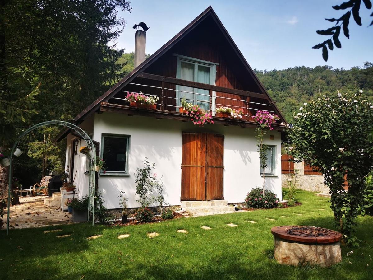 fairy tale cottage on water stream, 30 minutes from South Prague