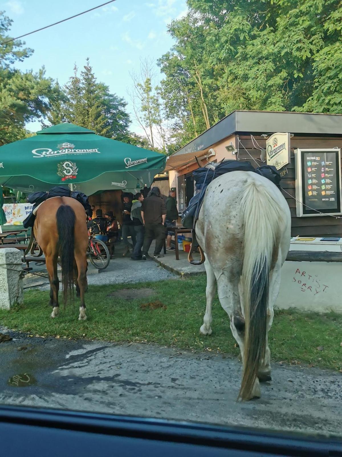fairy tale cottage on water stream, 30 minutes from South Prague