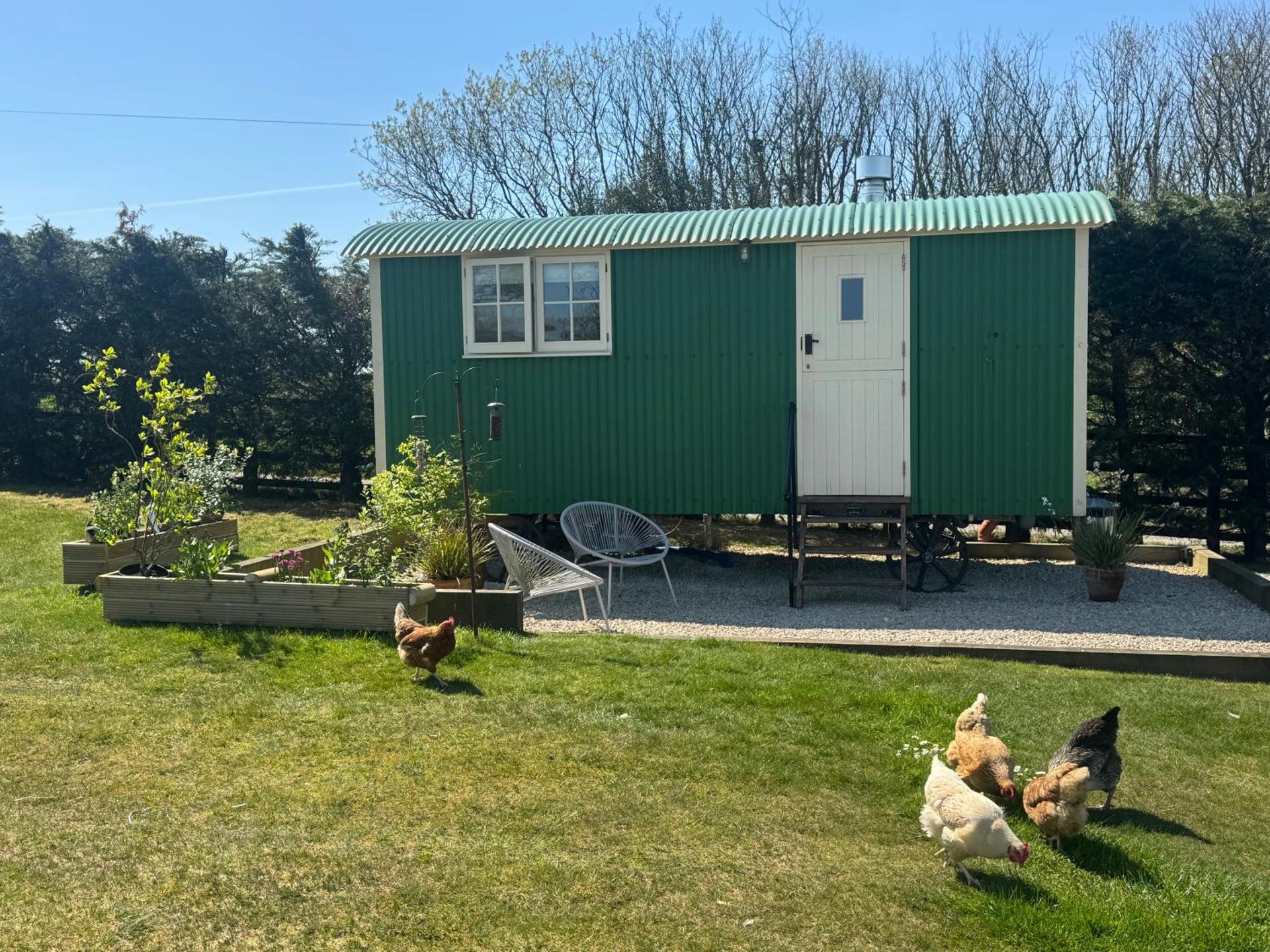 Toms Hut and Robins Rest Shepherd Huts near Wadebridge