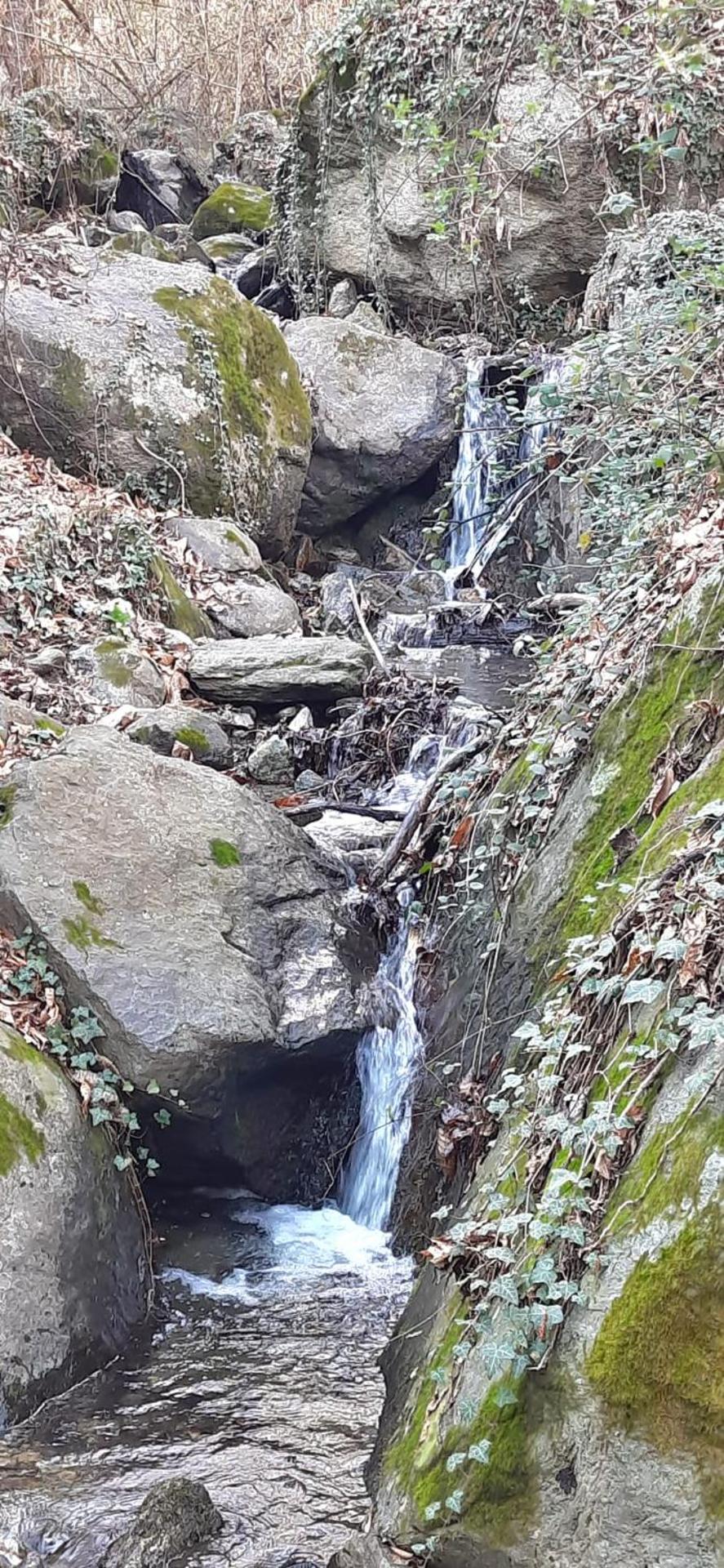 Babi la tappa di novaretto