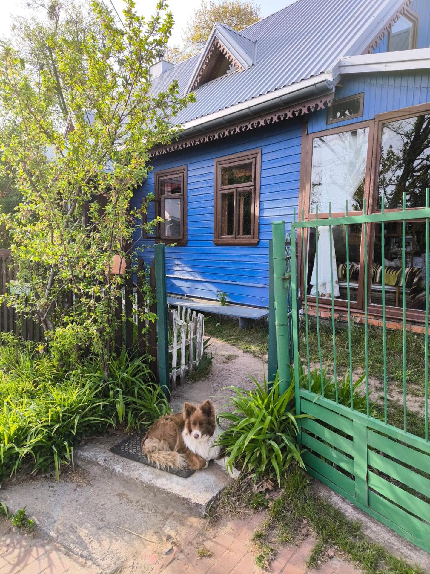 MorzeLas Chata Białowieża