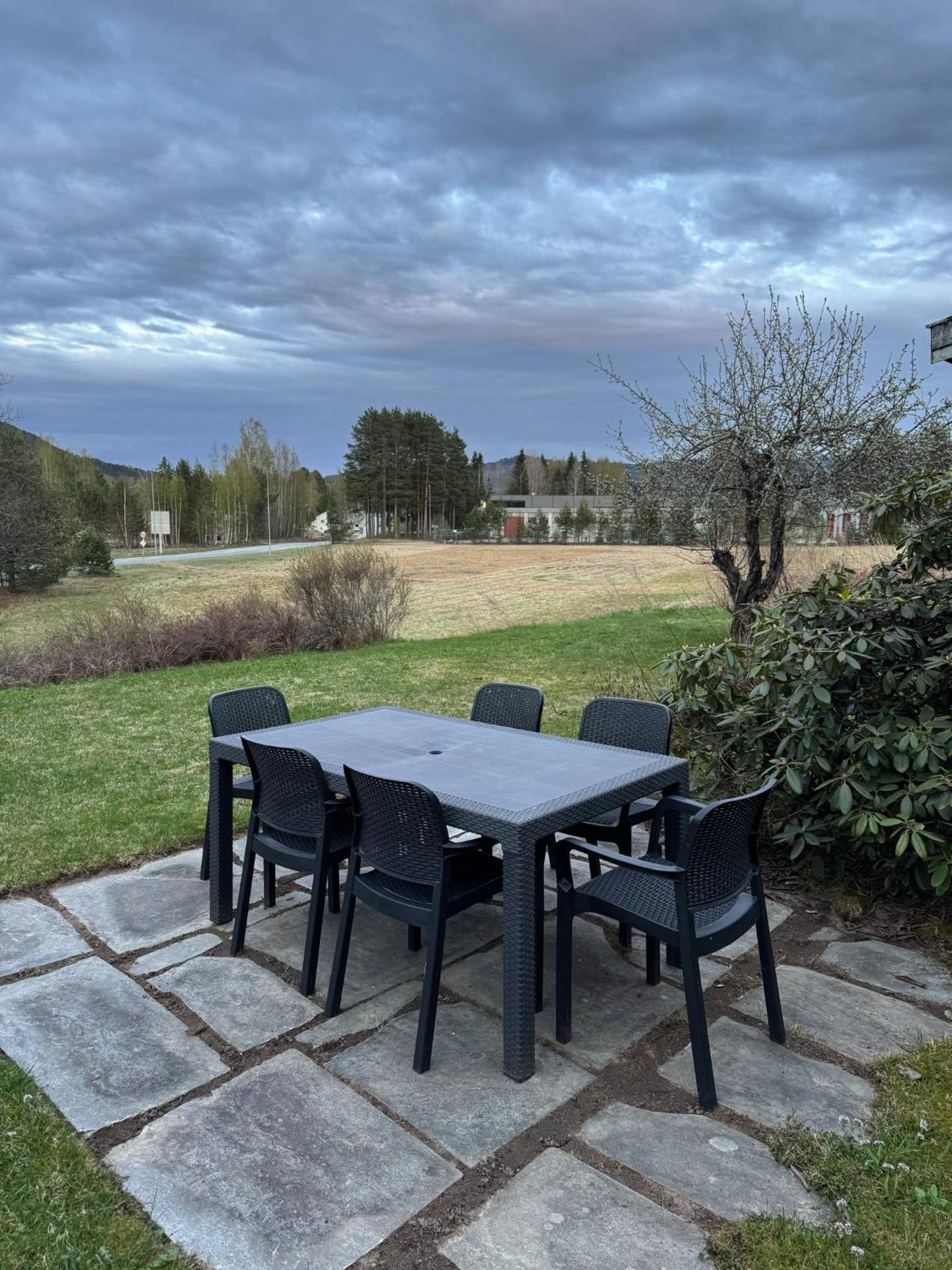 Skogro ved Norefjell