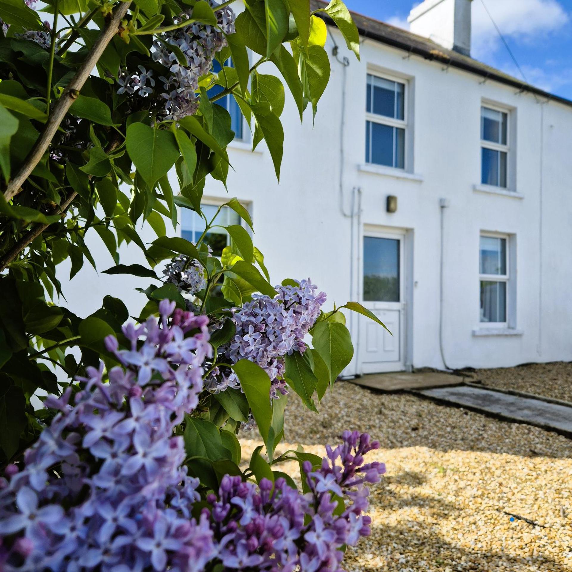 The Alpaca Farmhouse with hot tub and alpaca experience included