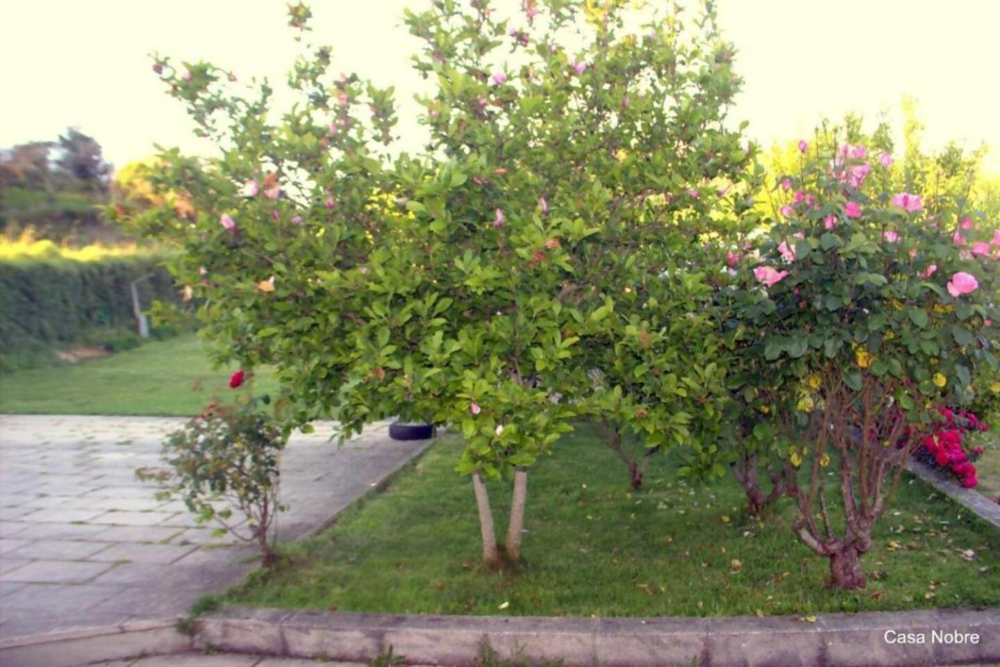 Retiro na Natureza - Casa com piscina