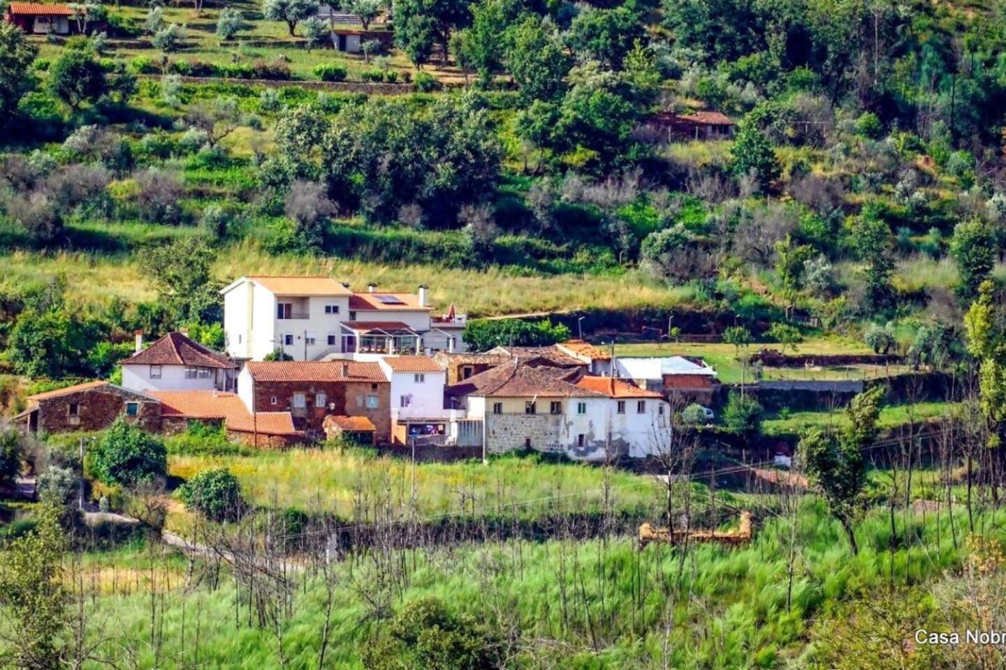 Retiro na Natureza - Casa com piscina