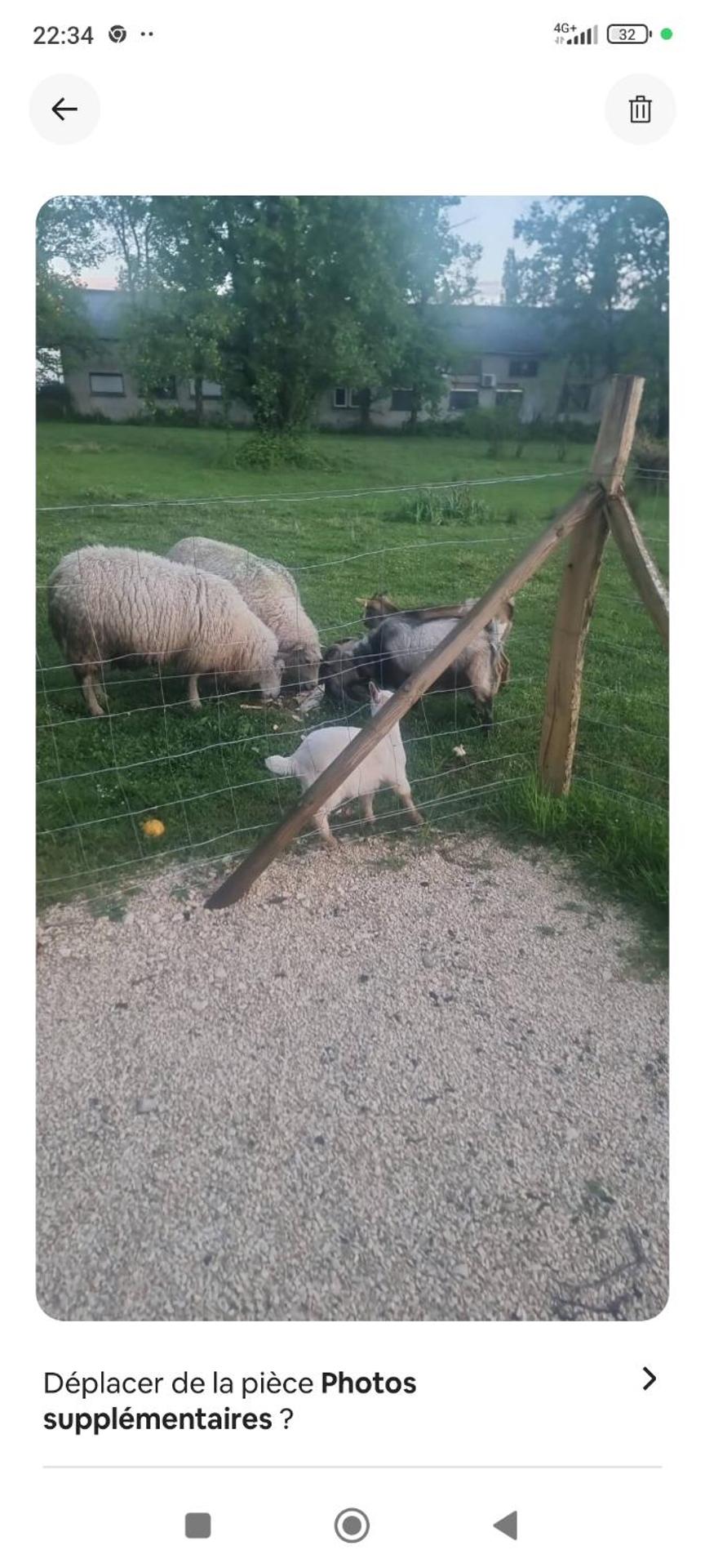 L'étang du griffolet 3