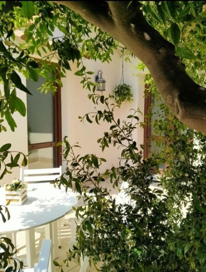 Casa vacanza Il Mandarino