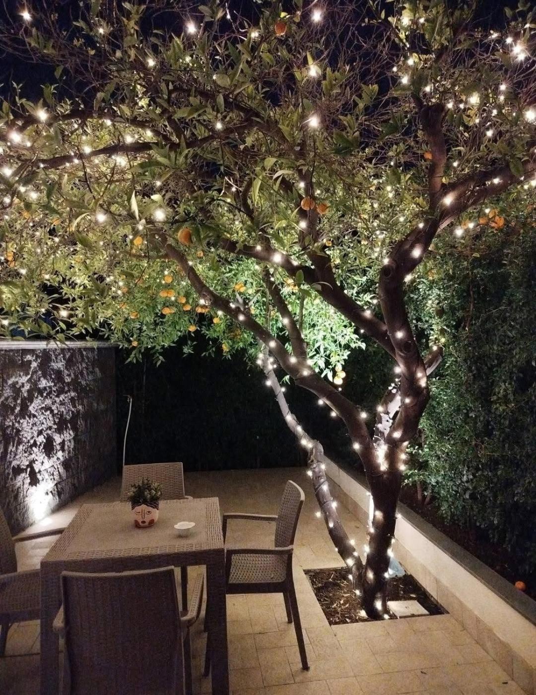 Casa vacanza Il Mandarino