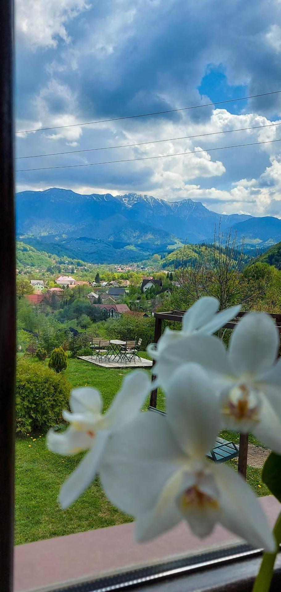 Inspire View - Boutique