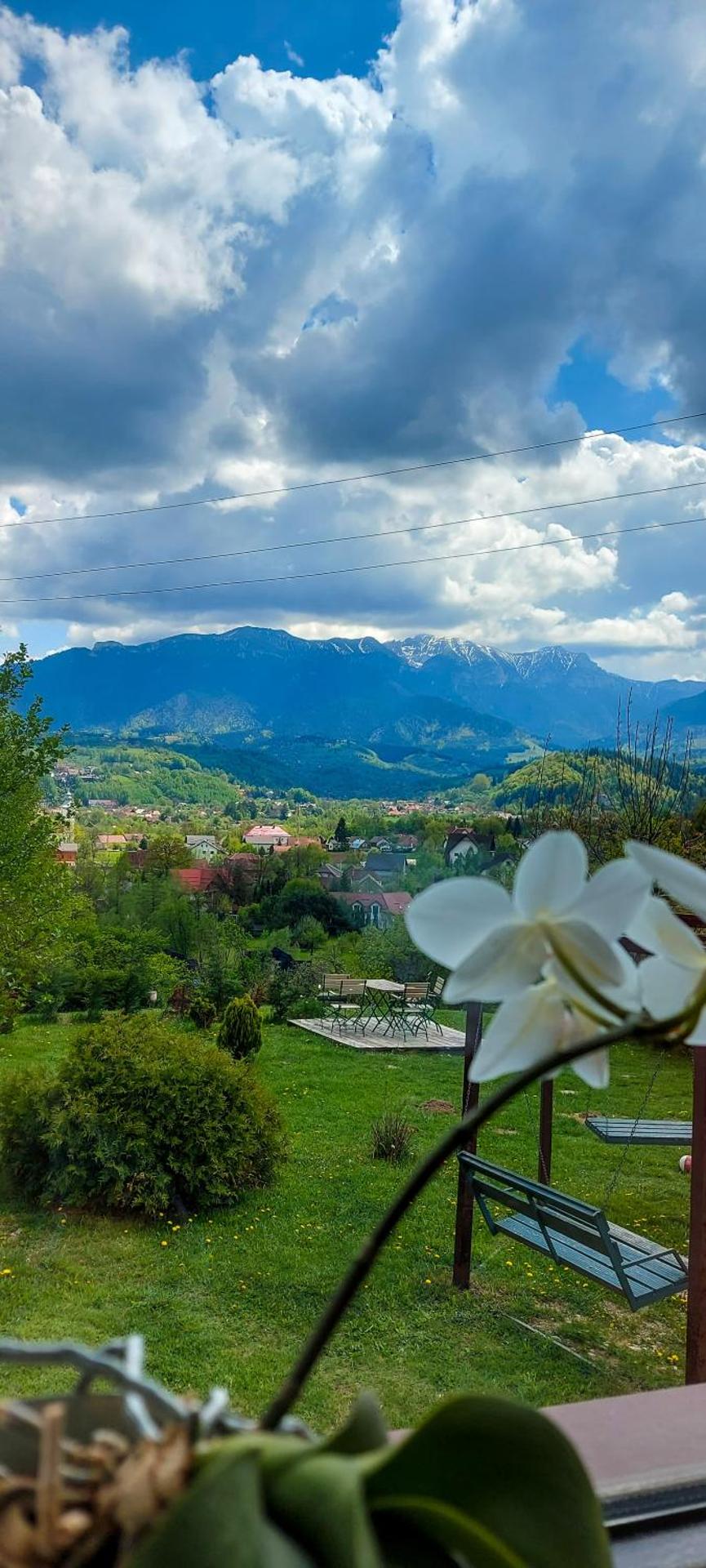 Inspire View - Boutique