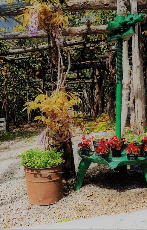 TakeAmalfiCoast Main House