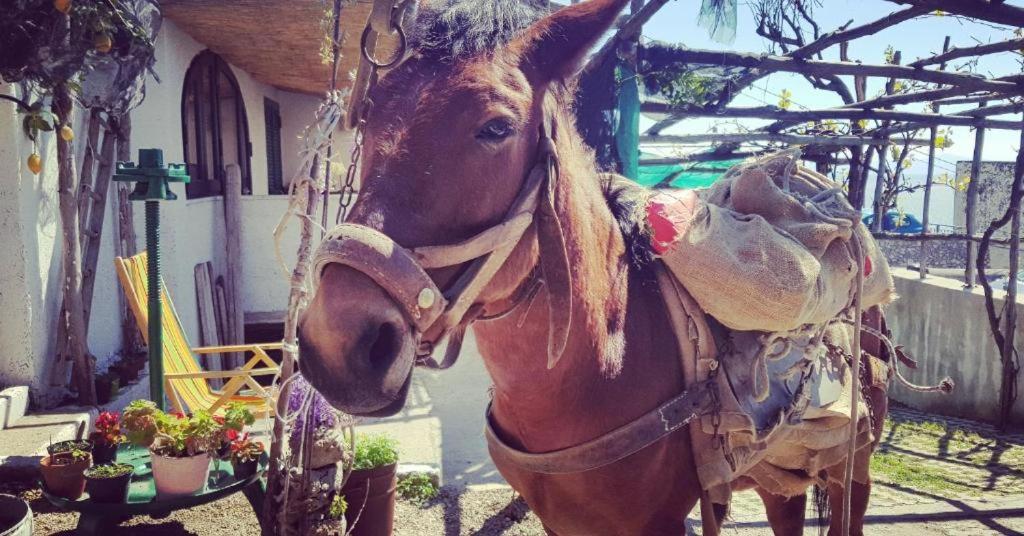 TakeAmalfiCoast Main House