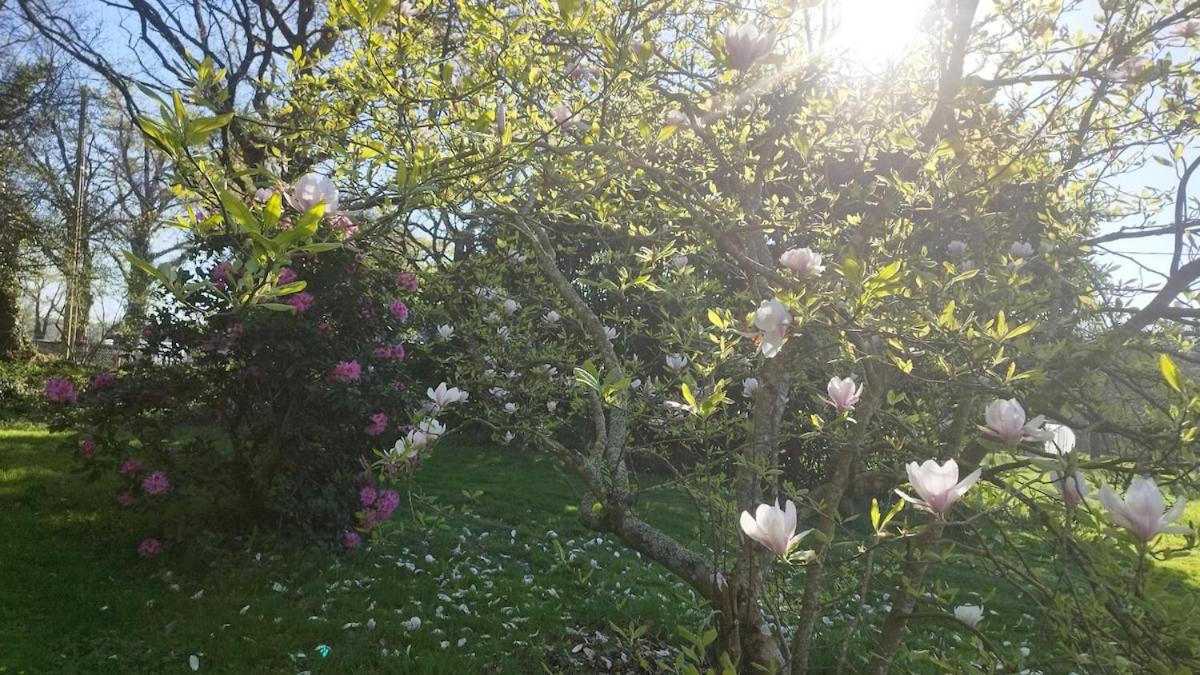 Gîte Lann Er Viline