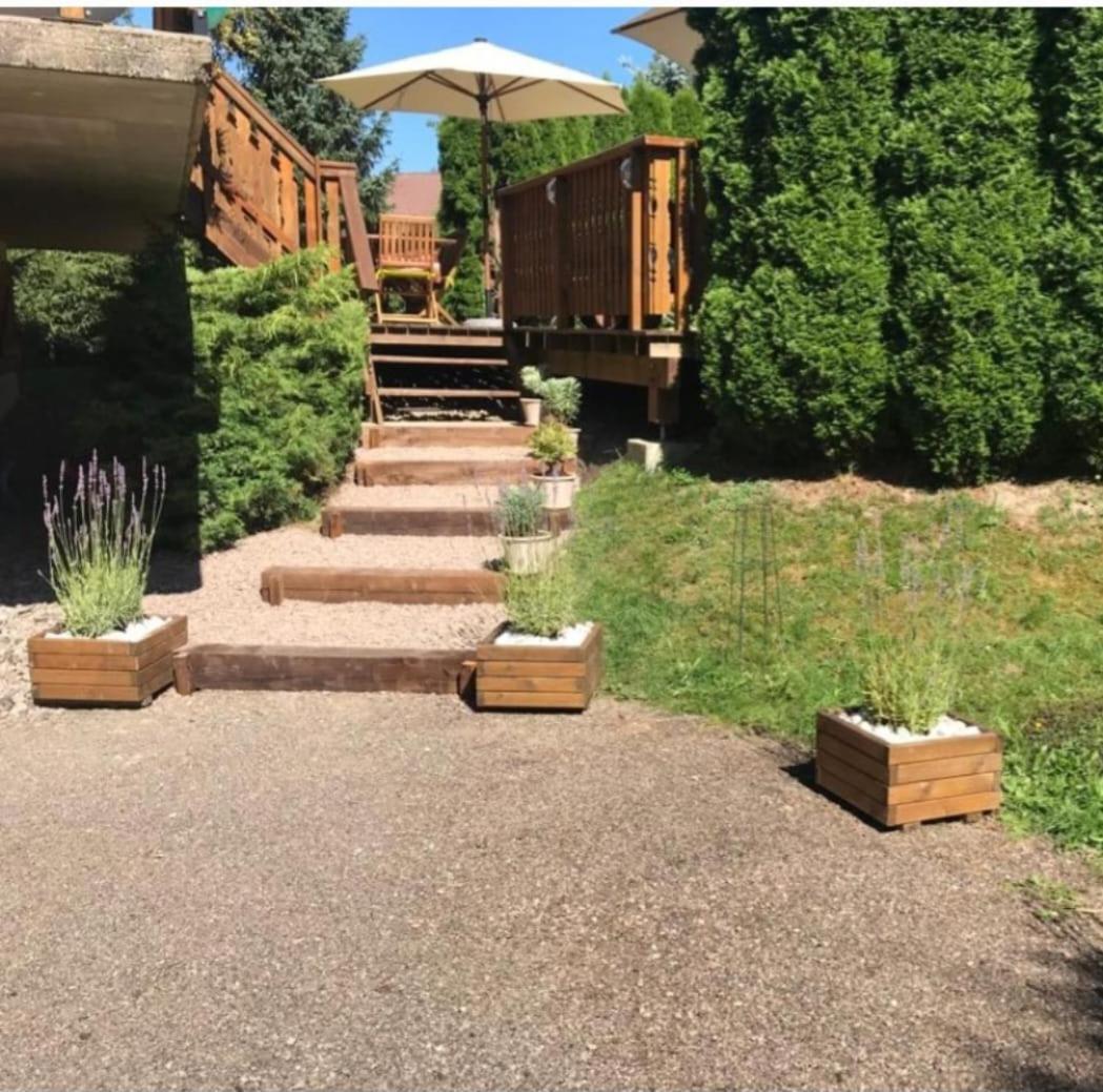 gîte avec spa, sauna et piscine