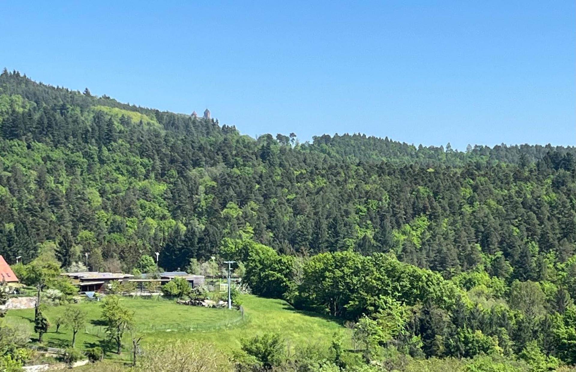 View (from property/room)