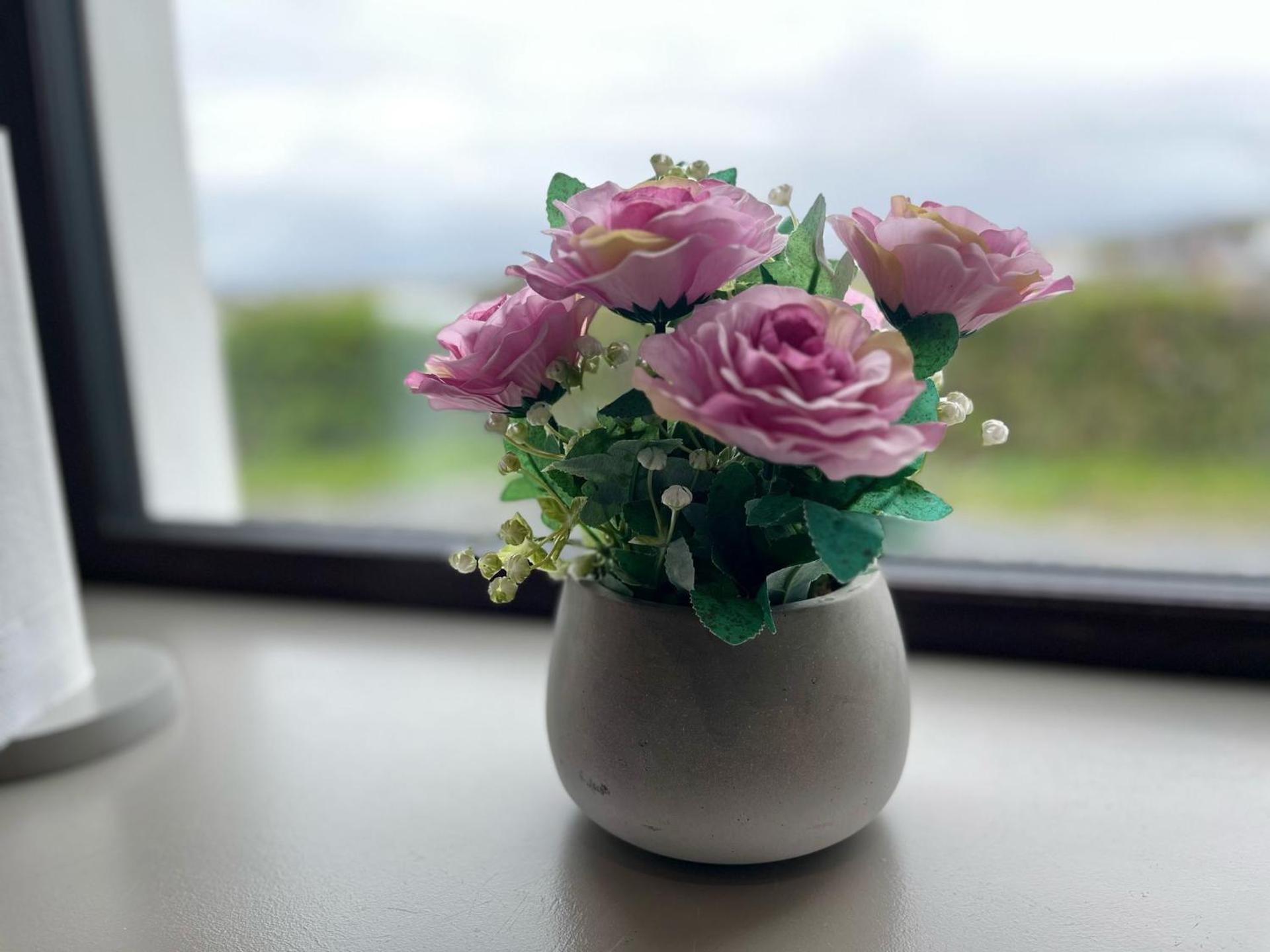 Tigh Fitz Apartments - Inis Mór, Aran Island