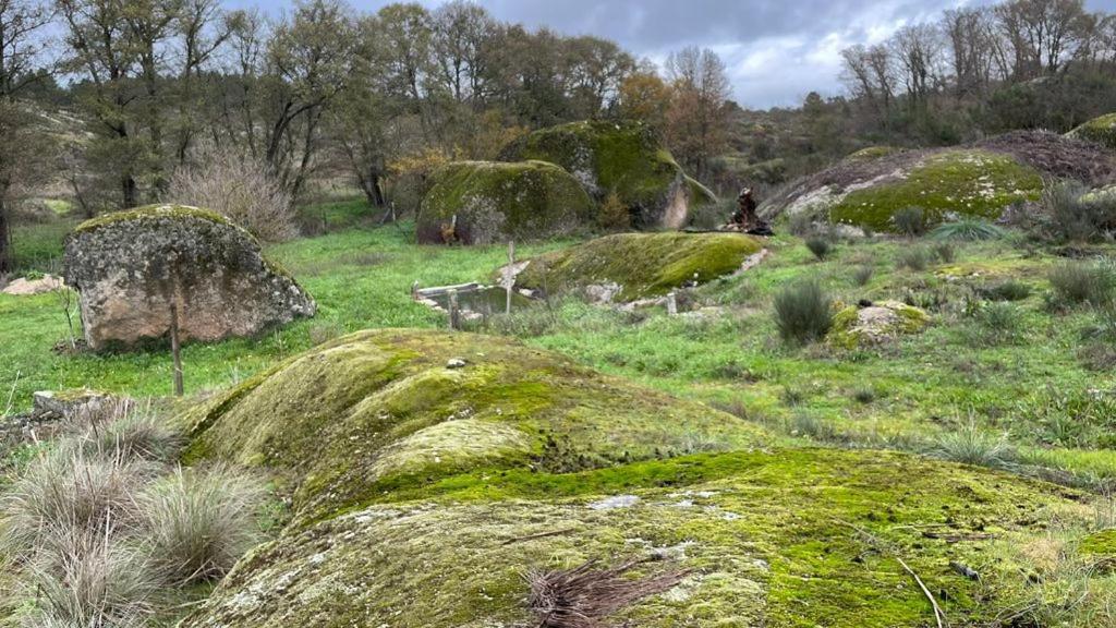 Casa dos Moinhos de Aveia