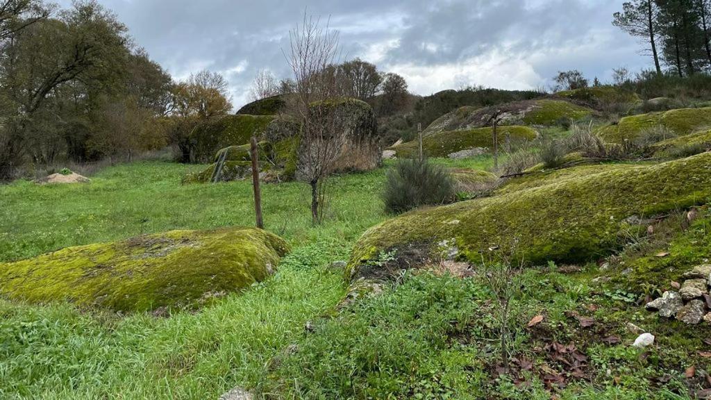 Casa dos Moinhos de Aveia